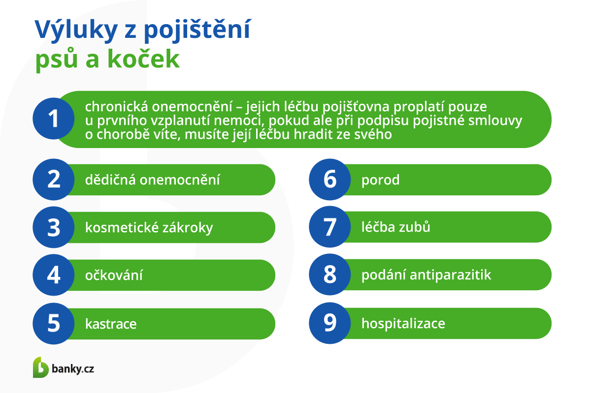 Pojištění zvířat - výluky